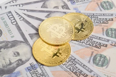 ドル比率が64%から56%へ低下｜ビットコインは受け皿になるか