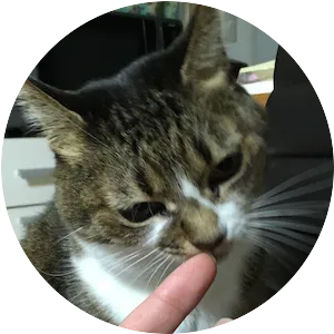 さっちゃん