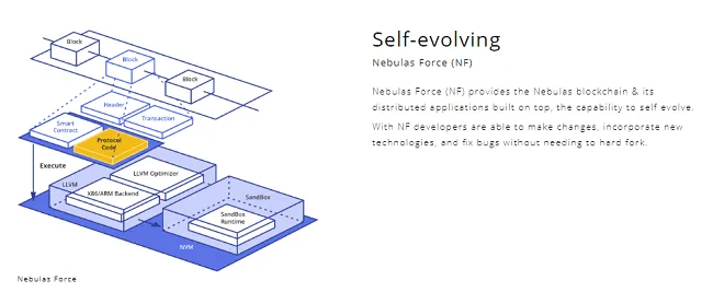 Nebulas Force
