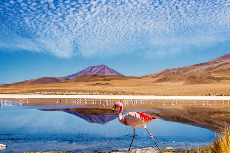 bolivia