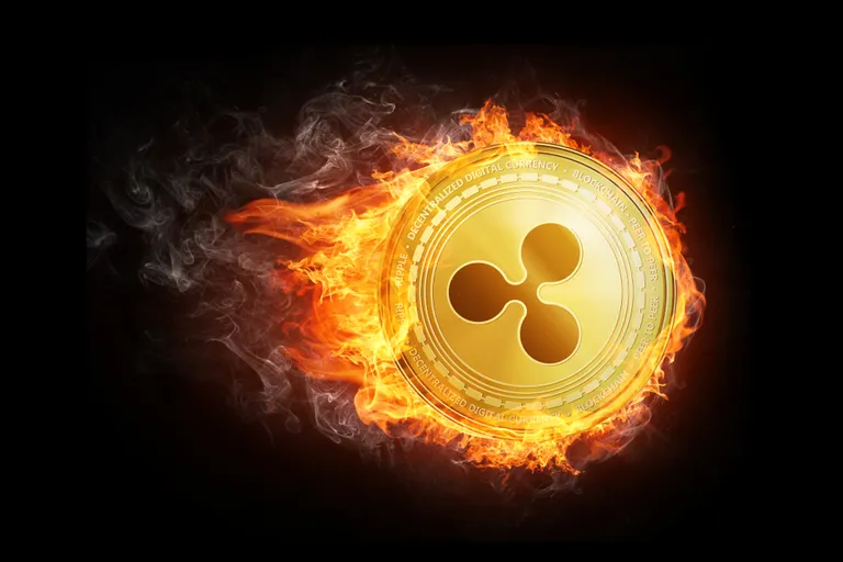 Ripple社が世界の有名大学に5000万ドルの投資を行う