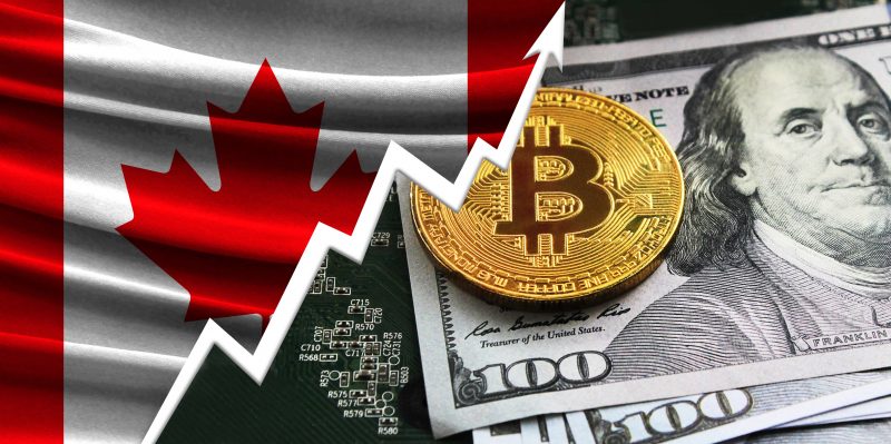 カナダのBTC(ビットコイン)所有者が一年で倍増