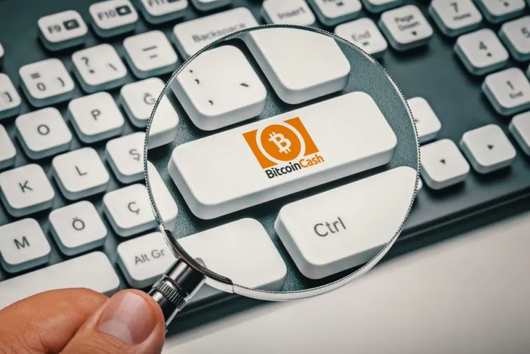 スタートアップのCoinText社がBCHウォレット開発に向けて60万ドルの資金を調達完了