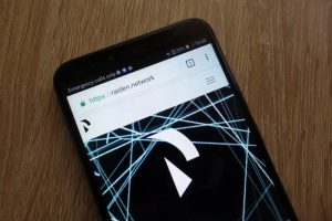 EthereumのRaiden Networkが『Tanacetum』アップデートをリリース
