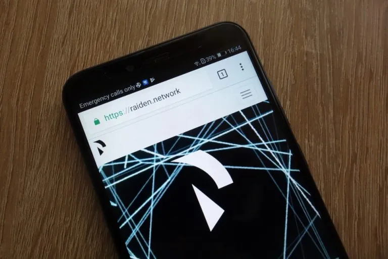 EthereumのRaiden Networkが『Tanacetum』アップデートをリリース
