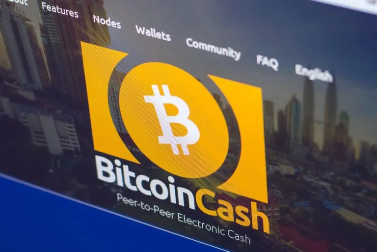 有名ハッカーのGeohot氏が仮想通貨を語る「ビットコインキャッシュ(BCH)こそ真のビットコインだ」