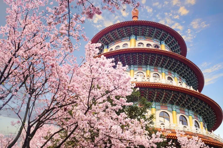 台湾当局、ICO(イニシャルコイン・オファリング)の規制草案を来年6月までに発表へ