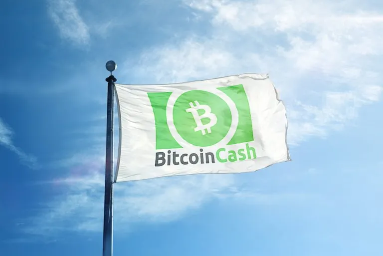 ロジャー・バー氏、BCH(ビットコインキャッシュ)を基軸通貨とする取引所の開設を計画中