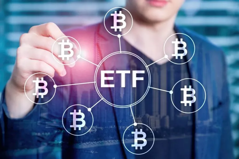 BlackRock CEO「ビットコインETFを発行する予定はない」