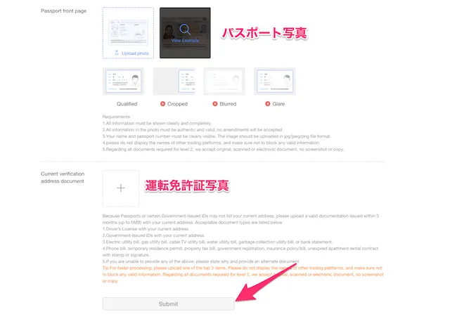 OKEx　免許証