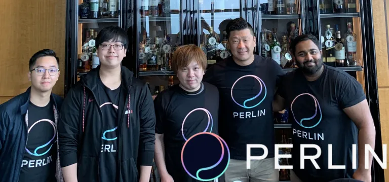 分散型クラウドコンピューティングシステムの開発に取り組むPerlinに独占インタビュー！