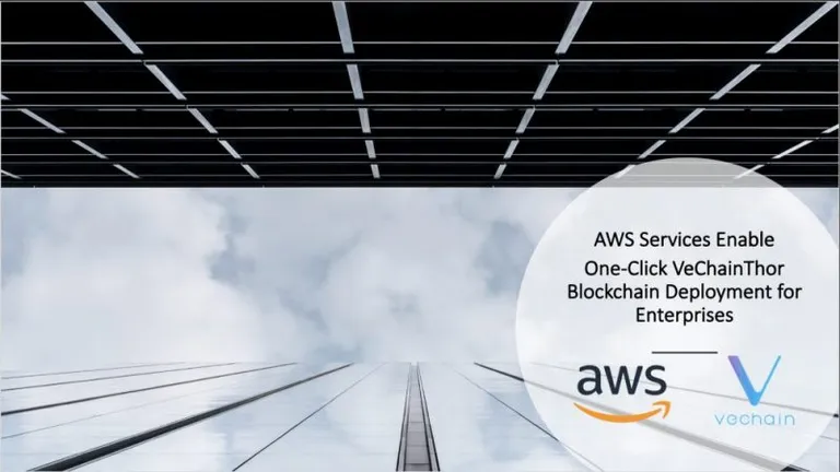 AWSで簡単にVeChainThorのブロックチェーンをデプロイできるように