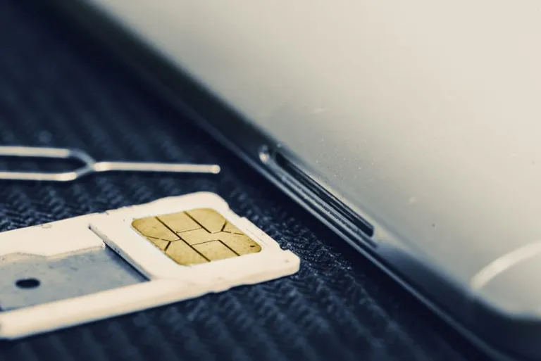 SIMスワッピングを利用し、SNS乗取り、仮想通貨窃盗を行った米国男性2名を逮捕