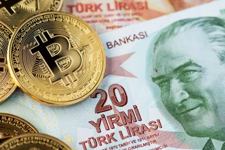 トルコがブロックチェーンベースのデジタル通貨の開発に着手、2020年末までにデジタルリラの試験的導入を計画