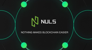 暗号通貨「NULS」開発チームのウォレットがハックされる　公式はハードフォークを展開へ
