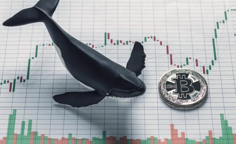 約90億ドル分の  $BTC が12月4日に移動、1時間以内の送金額では過去最高