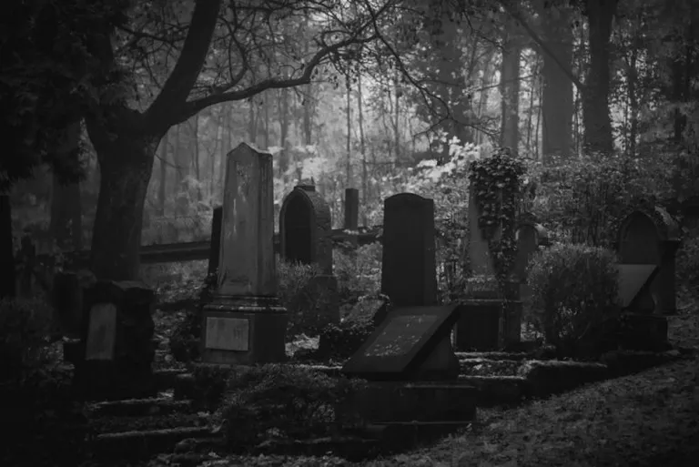 2019年に死亡した仮想通貨プロジェクトは2018年と比較して、約20％減の518件に