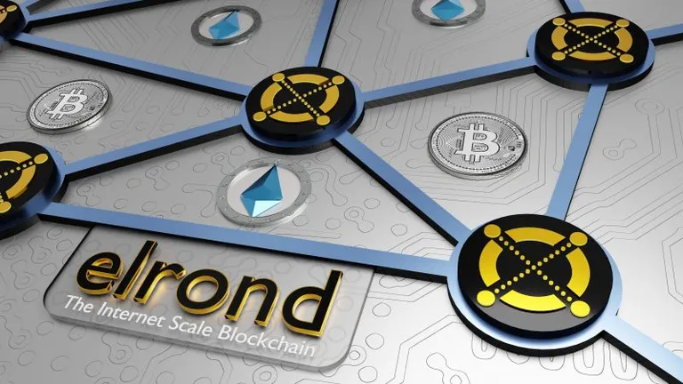 Elrondが暗号資産の新たなUXを提供するアプリ「Maiar」をリリース