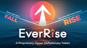 買戻しとバーンを自動化した暗号通貨 EverRise / $RISE とは？