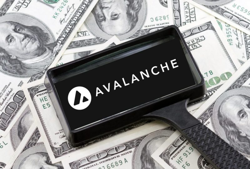 Avalanche Foundation、250億円の多額資金調達を実施