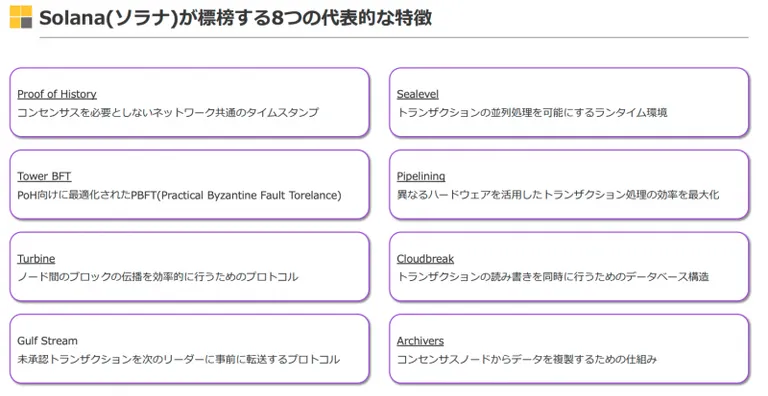 solanaの8つの特徴