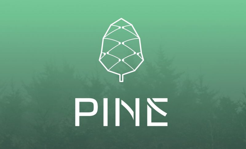次のブームとなるか | NFTFi系プロジェクト「Pine Protocol 」を解説