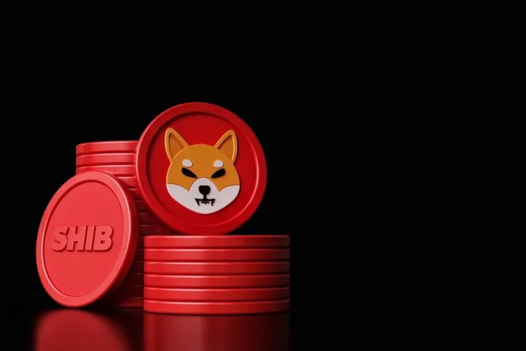 Shiba Inu/$SHIB、グーグルクラウドの支払いに対応か