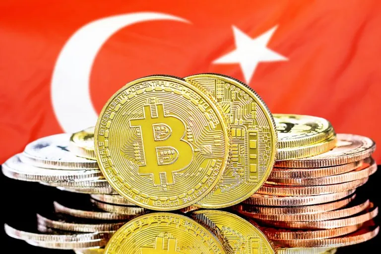 被災地トルコ、仮想通貨での寄付が6億円以上に