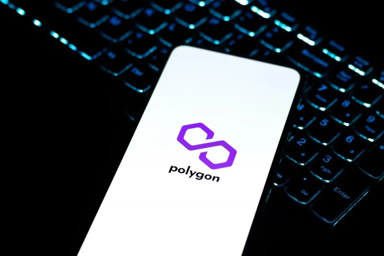 y00ts、3月27日からPolygonへの移行が開始｜BTC DeGodsの抽選エアドロップも