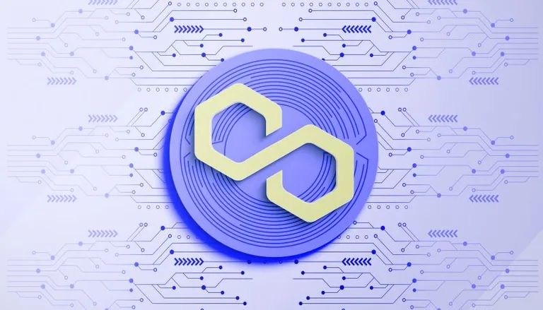y00ts、Polygonへの移行が始まる｜最初の17時間で10,000枚が移行