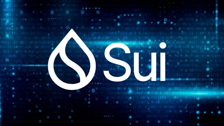 Suiが主催する「京都ビルダーハウス」に参加すべき5つの理由とは？世界中のSui開発者とつながるチャンス