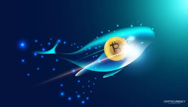 83億円分のビットコイン(2099 BTC)が6年ぶりに移動|70億円の増益に