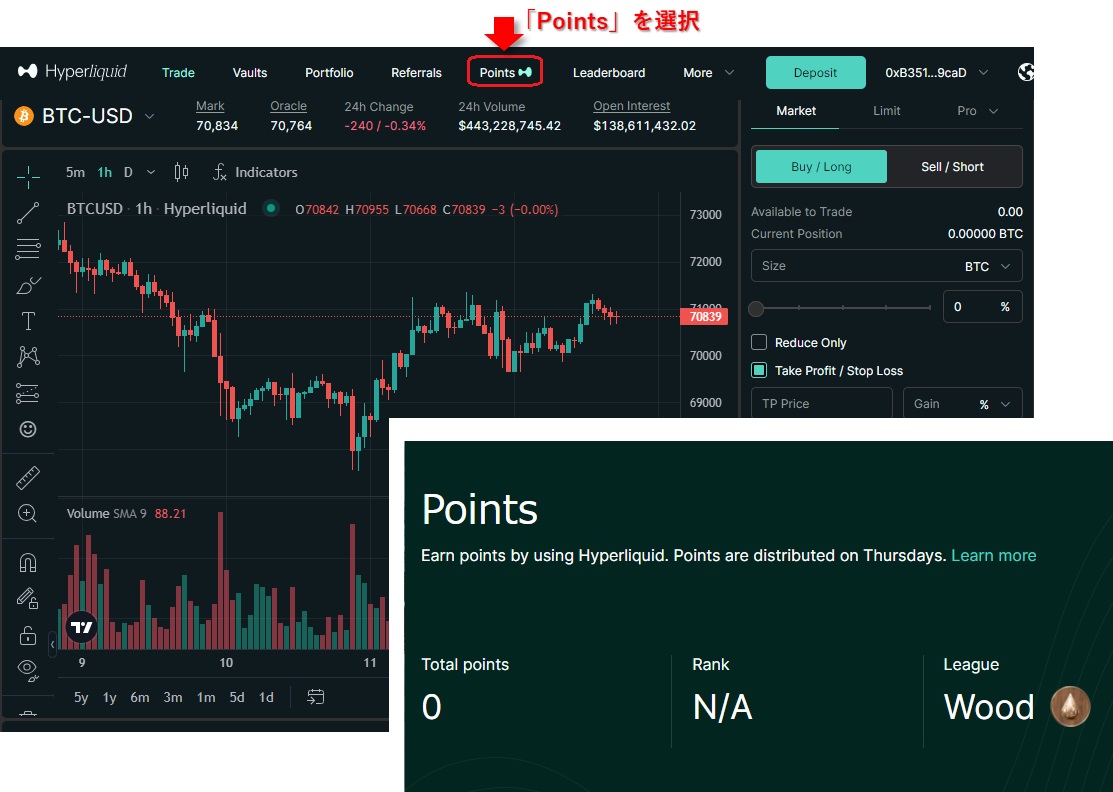 Hyperliquidのポイントの確認
