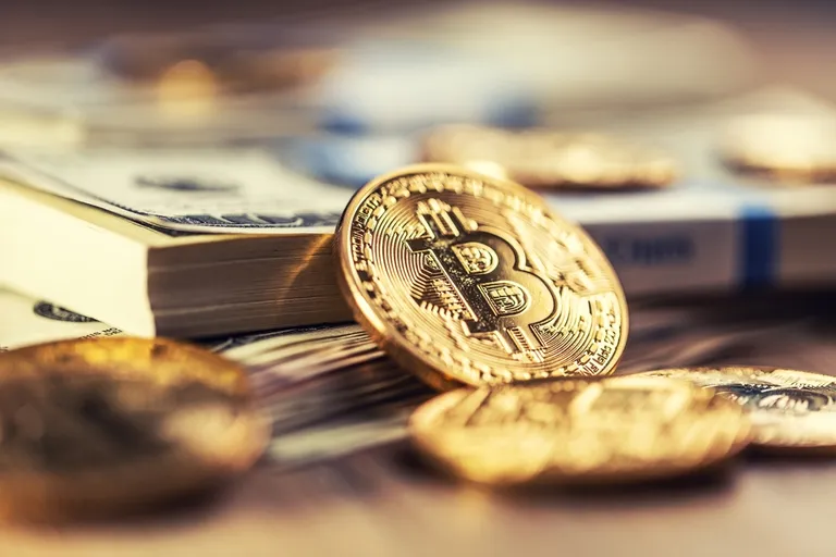 仮想通貨長者が95%増加|100万ドル以上保有は17万人以上に