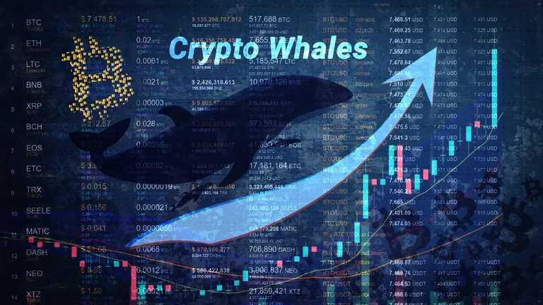 大口は約5,730億円相当のビットコインを集積｜過去6ヶ月で