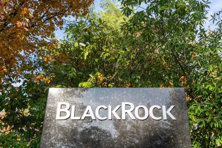 BlackRockのトークン化ファンド「BUIDL」、USDCでの投資が可能に