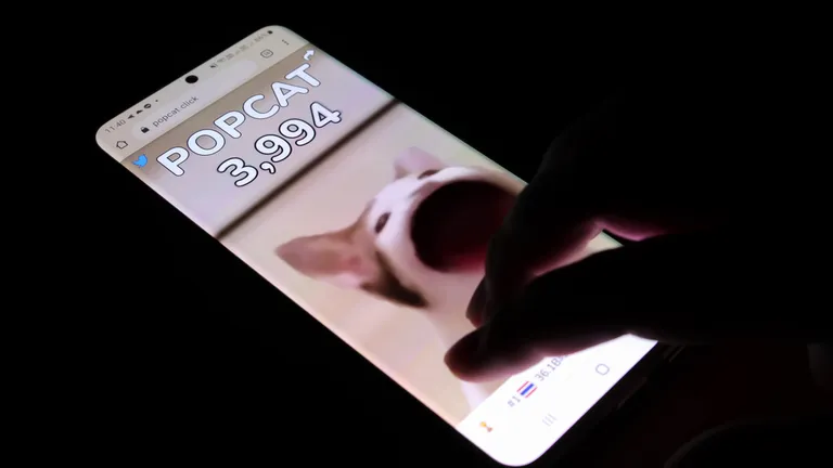 Gemini、人気ミームコイン「Bonk」と「Popcat」の上場を発表
