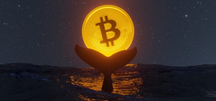 ビットコイン急落の犯人は「古代クジラ」か、10年休眠のBTCが放出