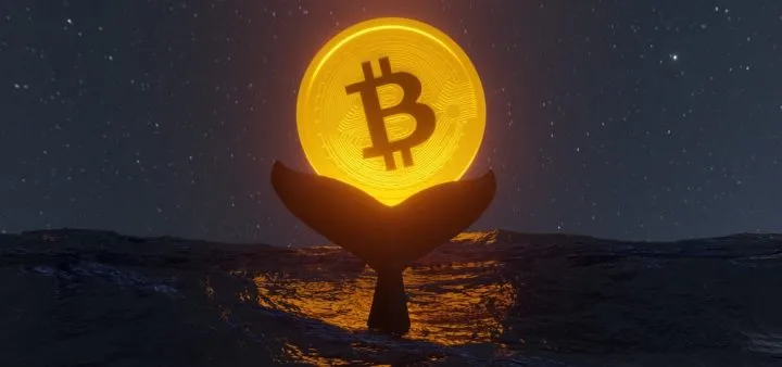 ビットコイン急落の犯人は「古代クジラ」か、10年休眠のBTCが放出