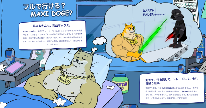 Maxi Dogeの概要が書かれた画面