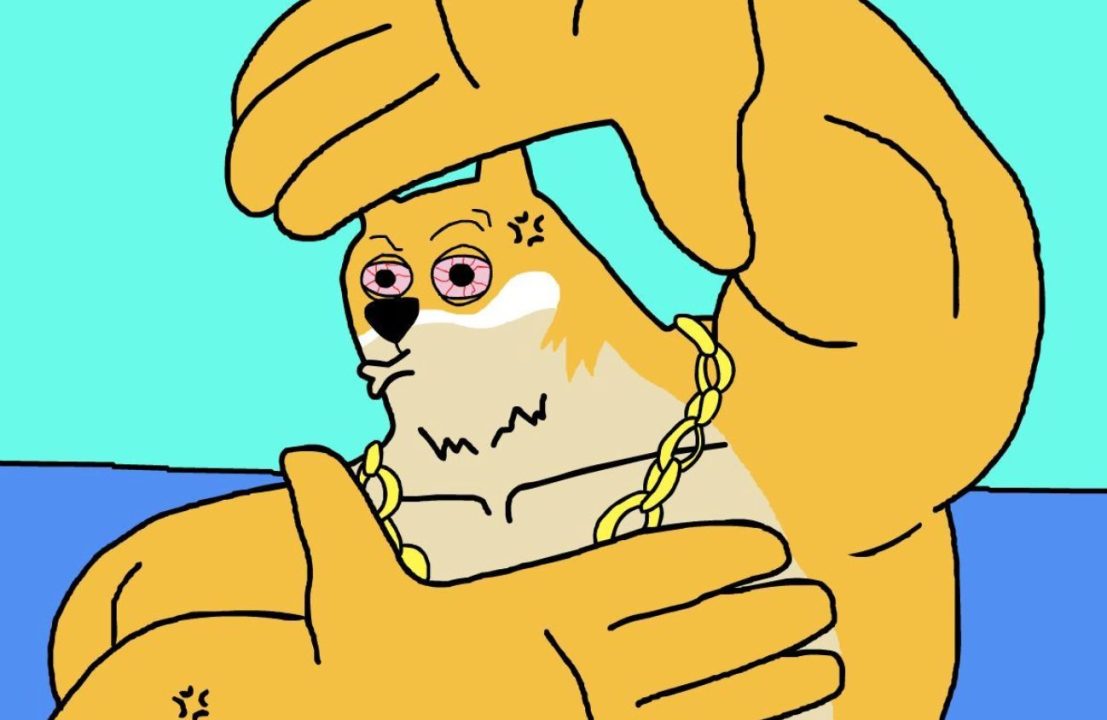 Maxi Dogeのミームが怒ってポーズを取っている様子