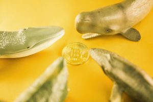クジラのビットコイン移動は売り圧ではない？その理由とは