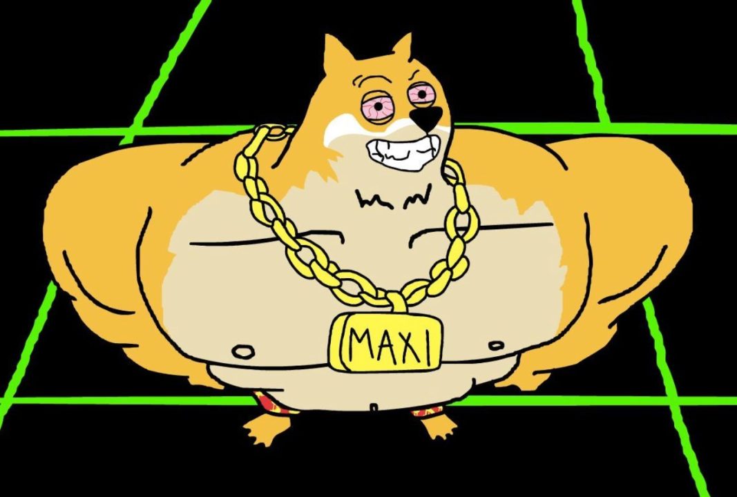 Maxi Dogeが緑の線が入った黒い床の上に立って笑顔を浮かべている様子