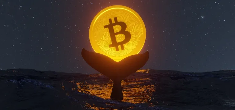 古代のビットコインクジラが8460万ドル相当のBTCを移動、利益確定か