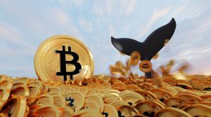 BTCクジラ、1週間で1.5億ドル超を買い増し｜直近でも1600万ドル追加