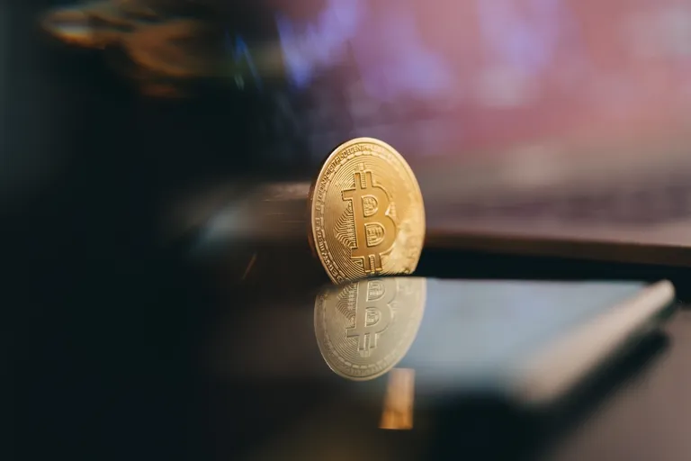 ビットコインクジラ比率が6年ぶり高水準、強気相場転換のサインか