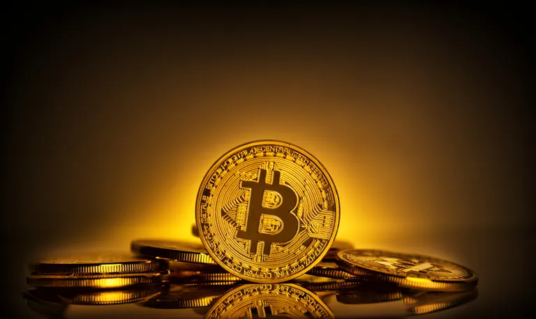 仮想通貨500銘柄の取引高が急減、ビットコインは独走状態