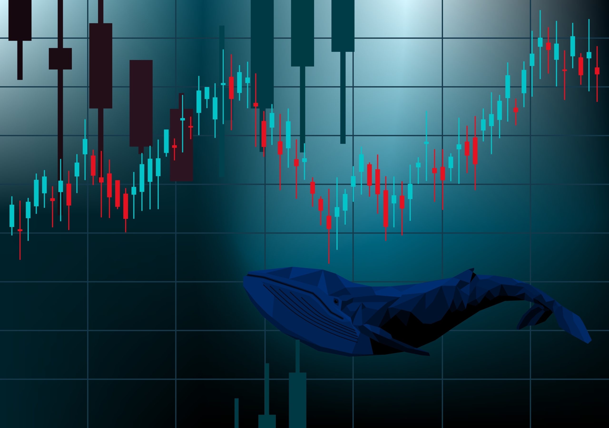 大口投資家は「強気相場のように」BTC・ETHを買い増し中｜静かな異変