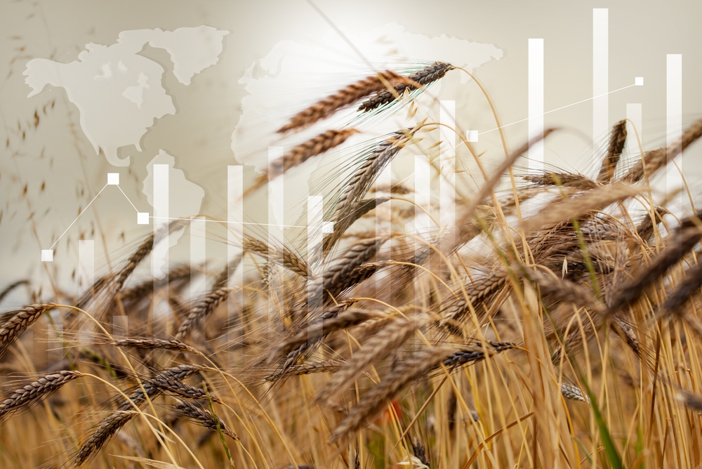 食料危機・新興国債務崩壊・ビットコイン—中東危機が生む”第二の震源地”とは