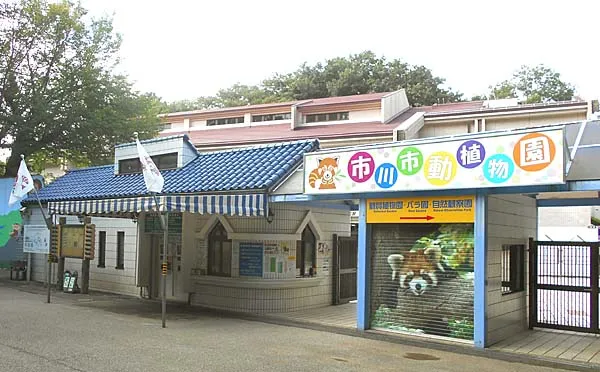 市川市動植物園への猿山侵入事件、仮想通貨ミームコインのプロモーションが背景か